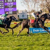 Black Hornet wins the Black Gold at Fair Grounds. 