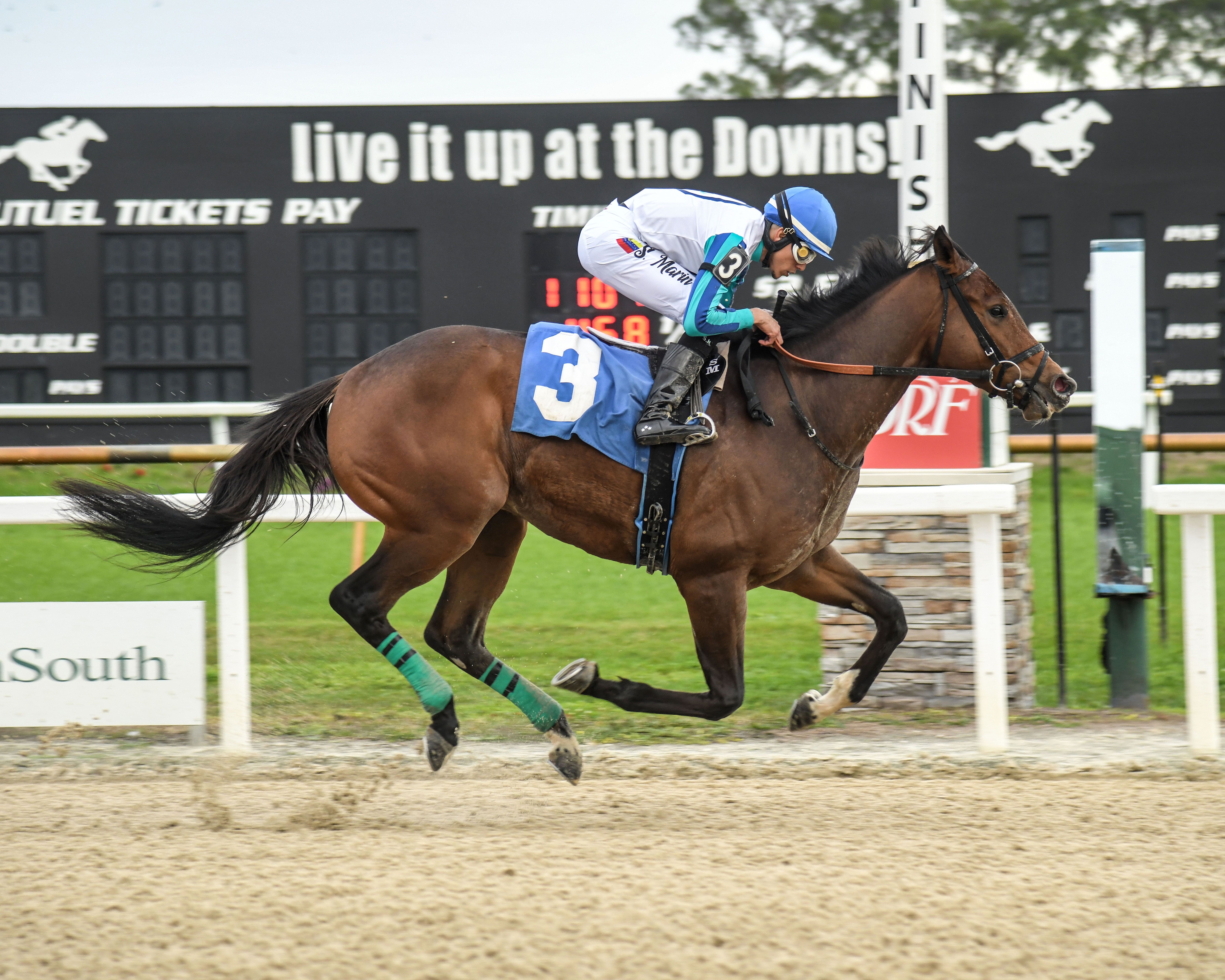 Book'em Danno wins the Pasco Stakes at Tampa Bay Downs.