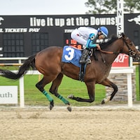 Book'em Danno wins the Pasco Stakes at Tampa Bay Downs.