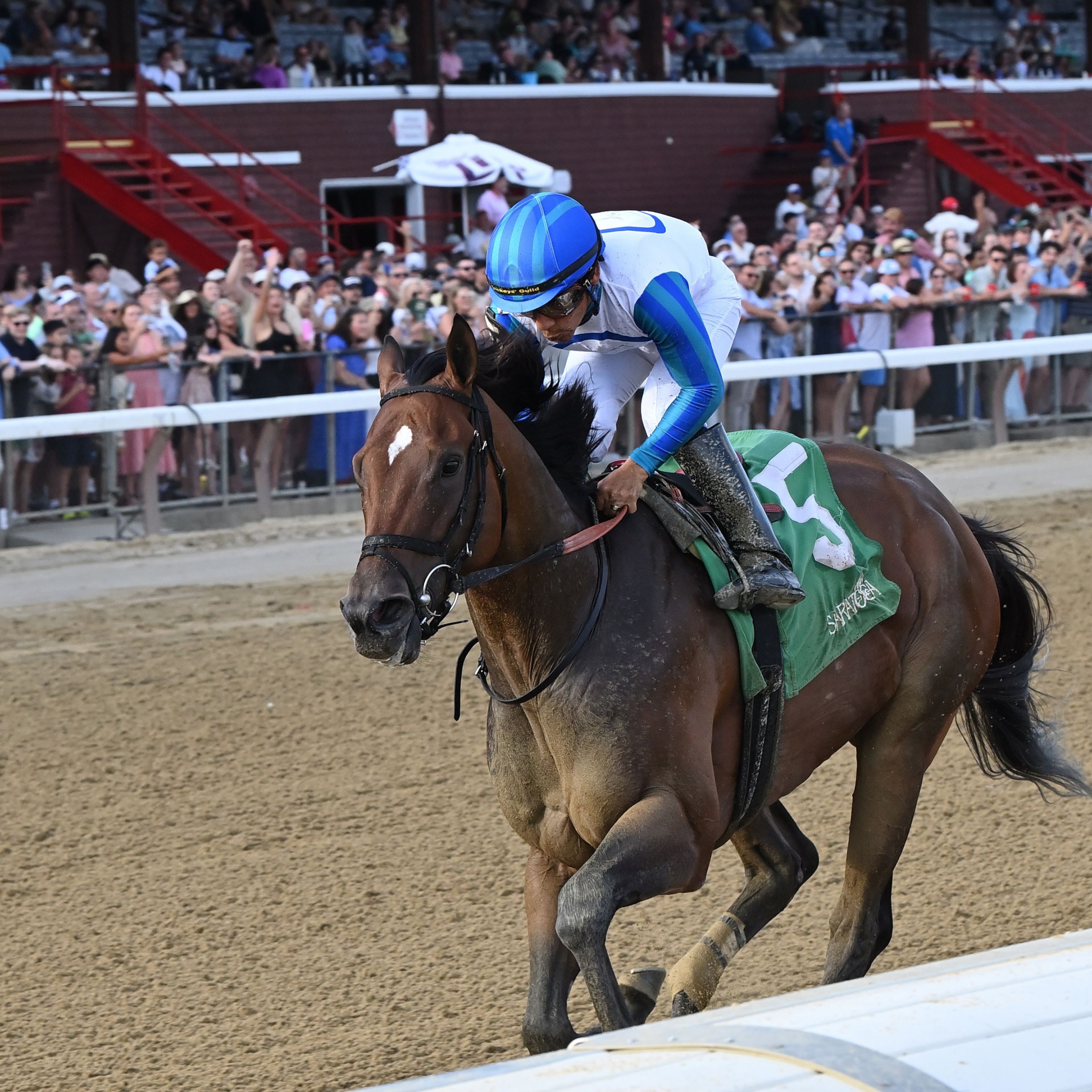 Book'em Danno wins the Vanderbilt at Saratoga.