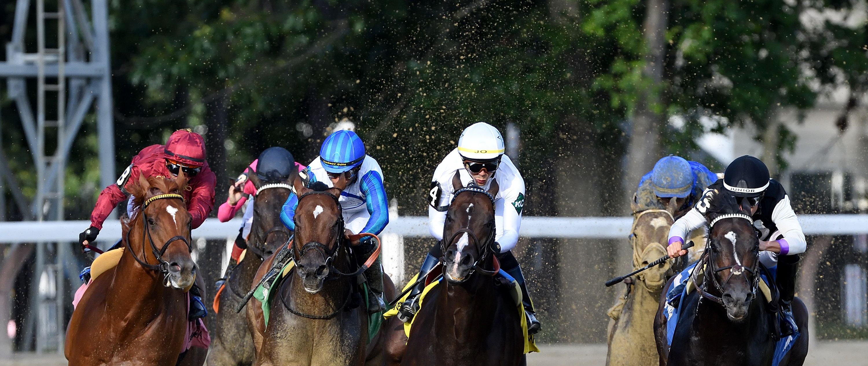 Book'em Danno wins the Vanderbilt at Saratoga.