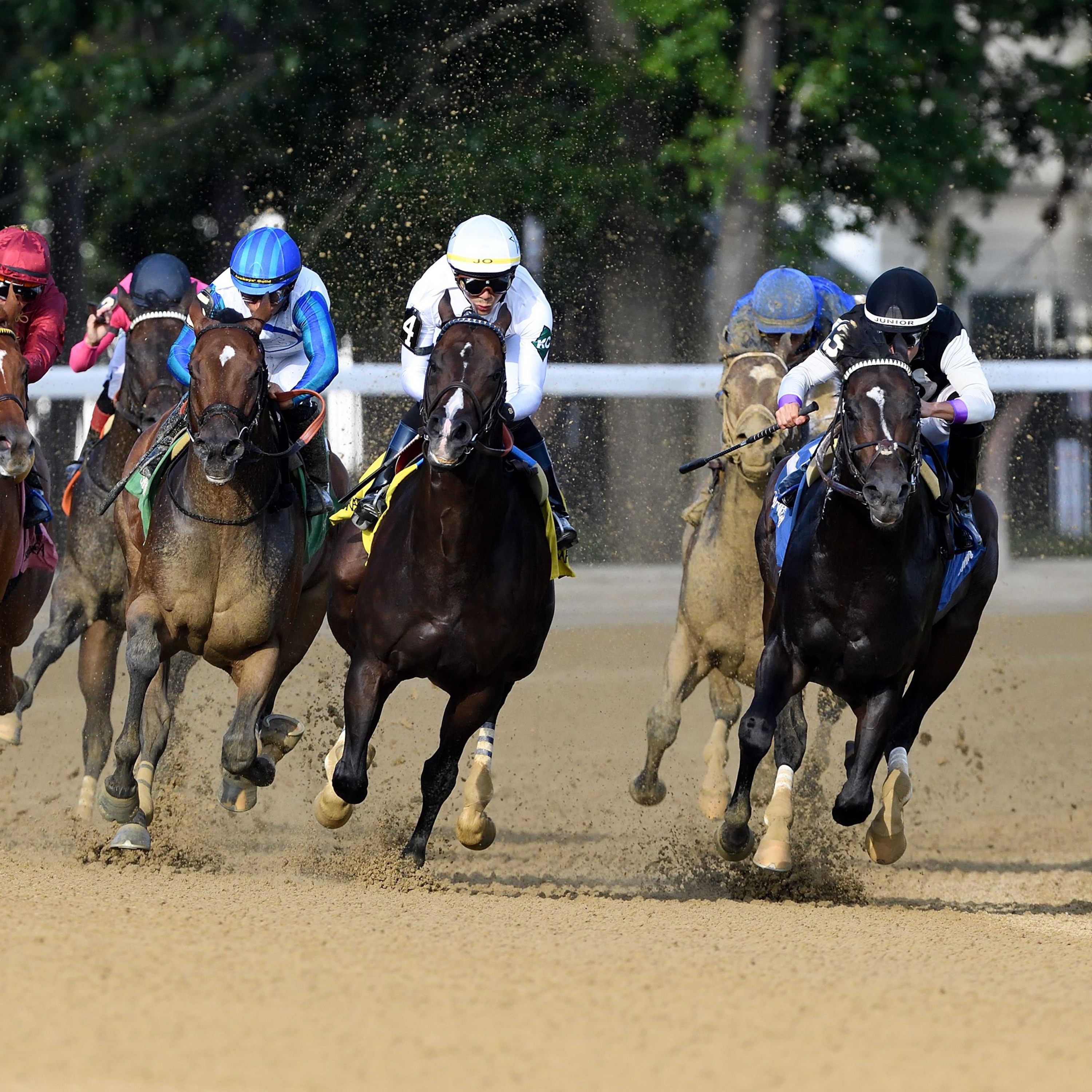 Book'em Danno wins the Vanderbilt at Saratoga.