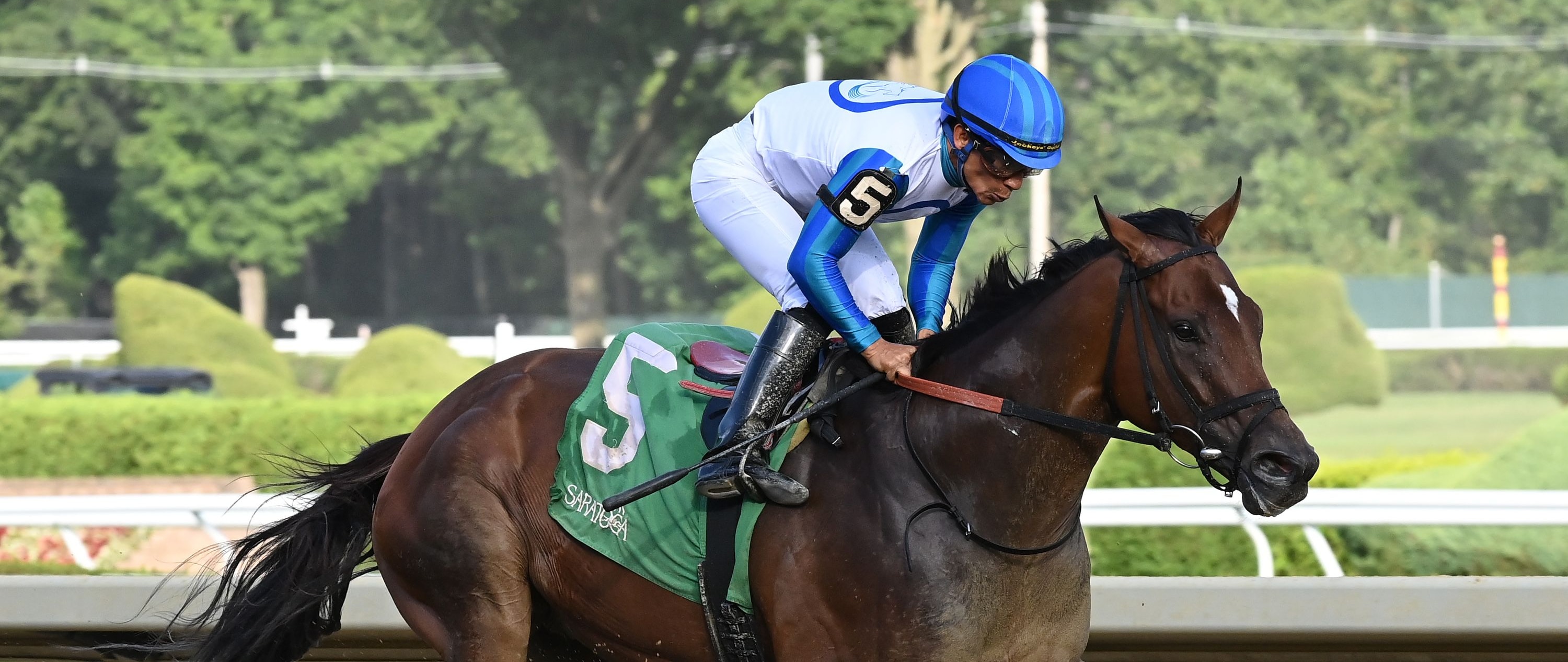 Book'em Danno wins the Vanderbilt at Saratoga.
