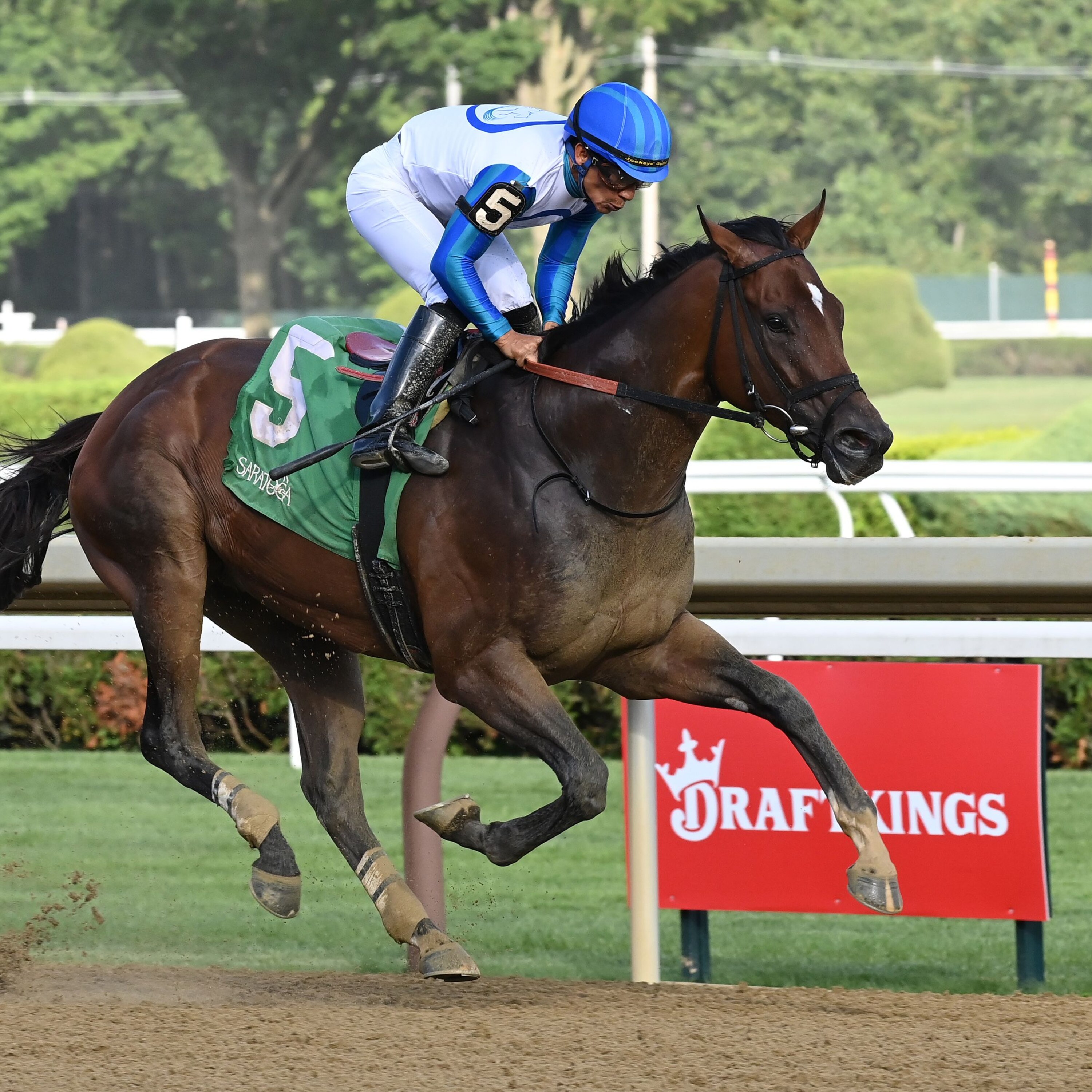 Book'em Danno wins the Vanderbilt at Saratoga.