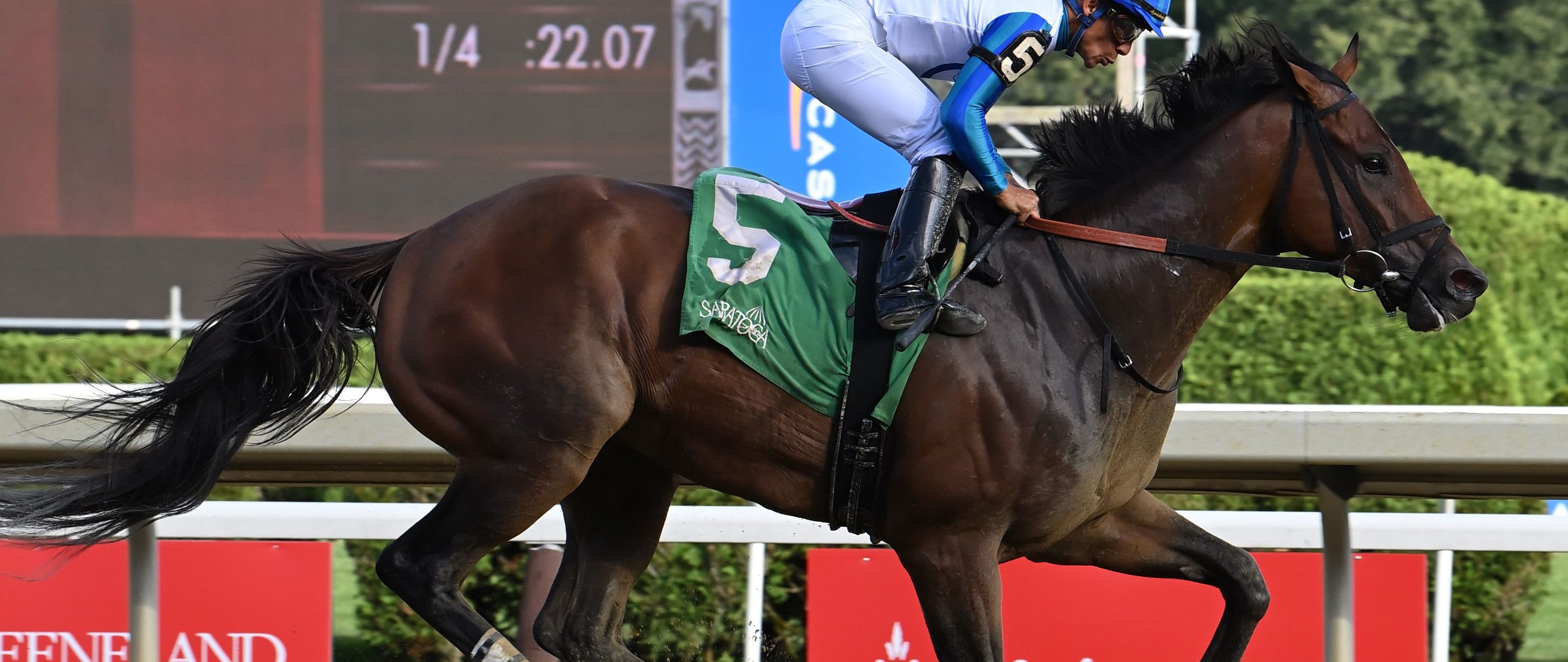 Book'em Danno wins the Vanderbilt at Saratoga.