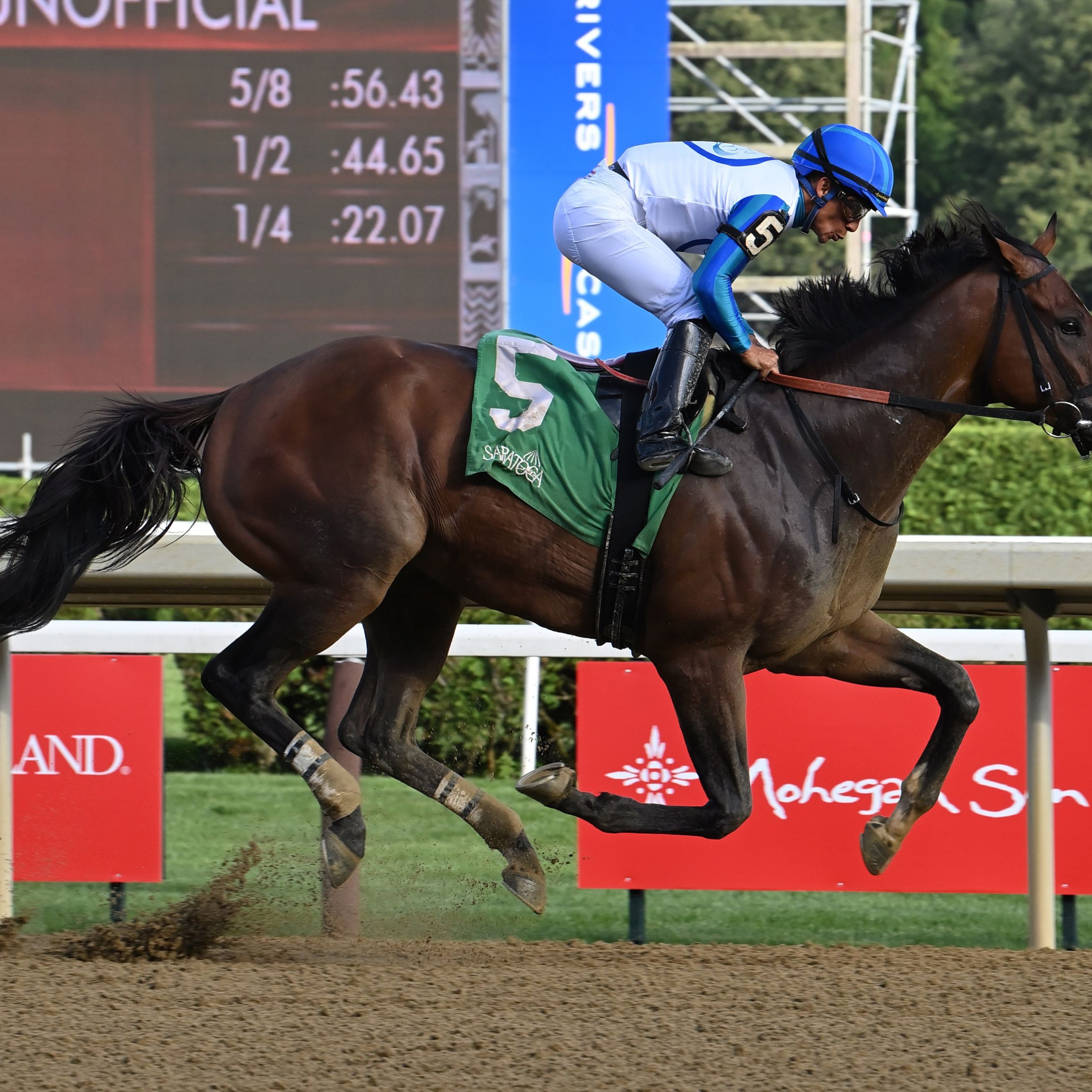 Book'em Danno wins the Vanderbilt at Saratoga.