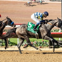 Bottle of Rouge upset stablemate Explora in the Del Mar Debutante (G1)