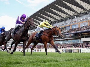 Bow Echo winning during Royal Ascot weekend.