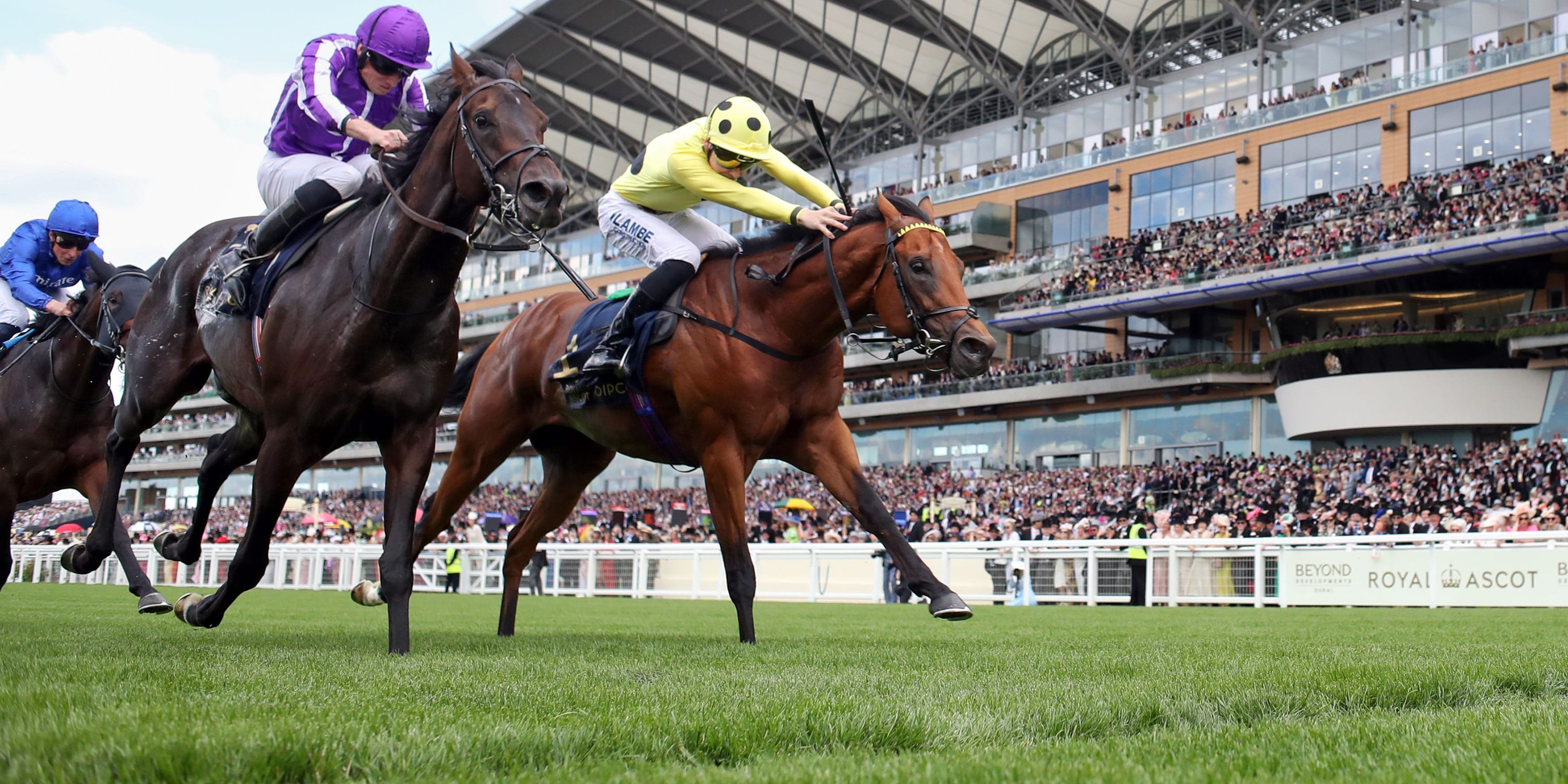 Bow Echo winning during Royal Ascot weekend.