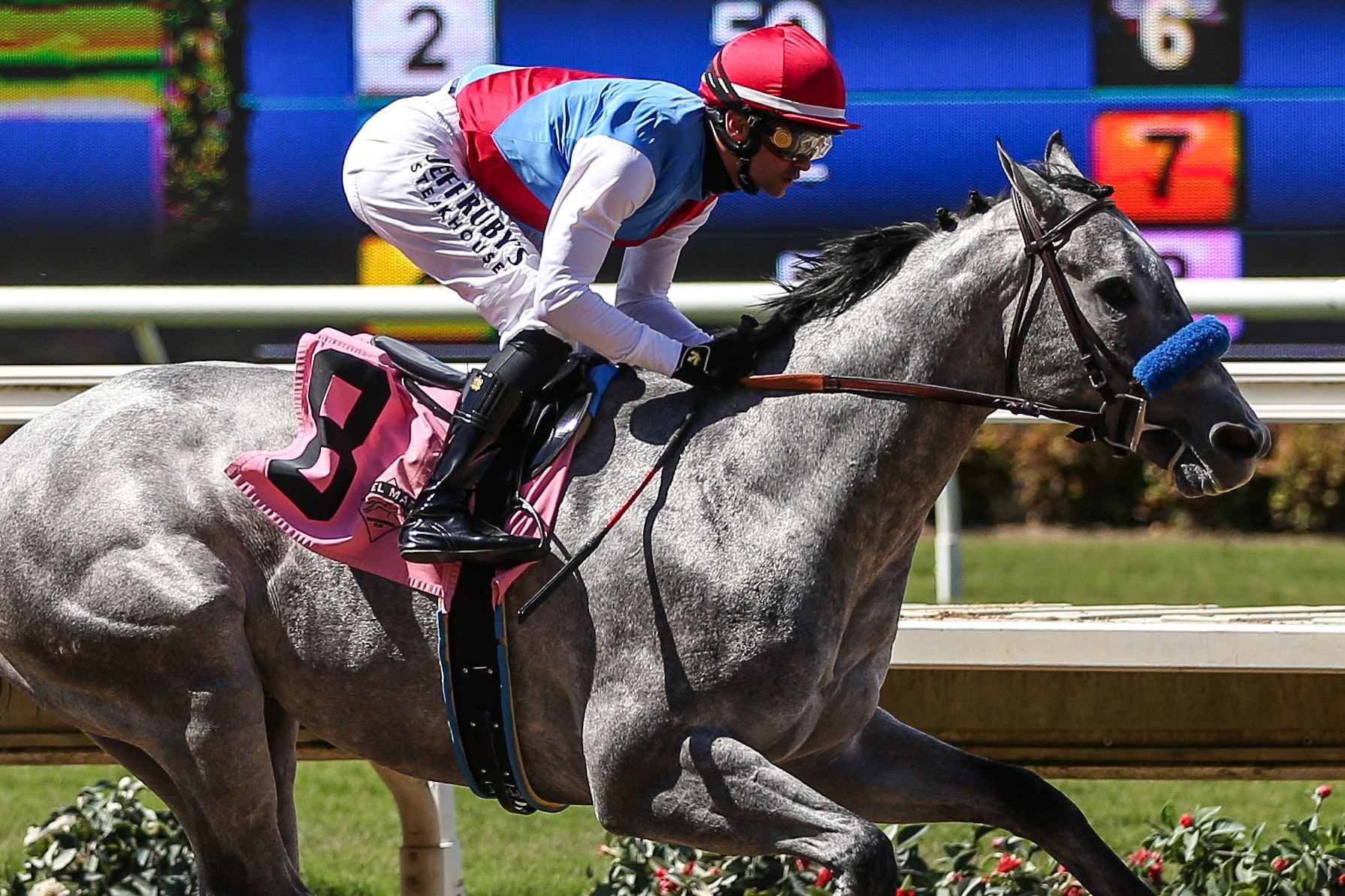 Brant, the $3 million OBS March juvenile, aired on debut at Del Mar