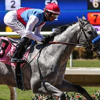 Brant, the $3 million OBS March juvenile, aired on debut at Del Mar