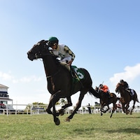 Breath Away (GB) wins the 2023 Sanibel Island S. 2023 (Photo by Coglianese Photos/Gulfstream Park))