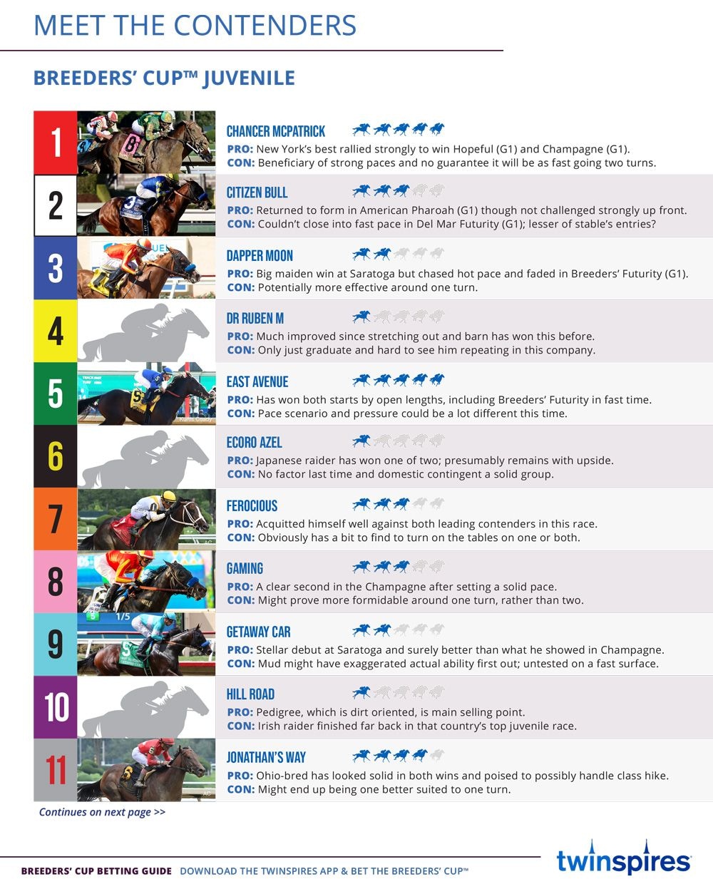 Breeders' Cup Betting Guide 2024 Meet the conteders