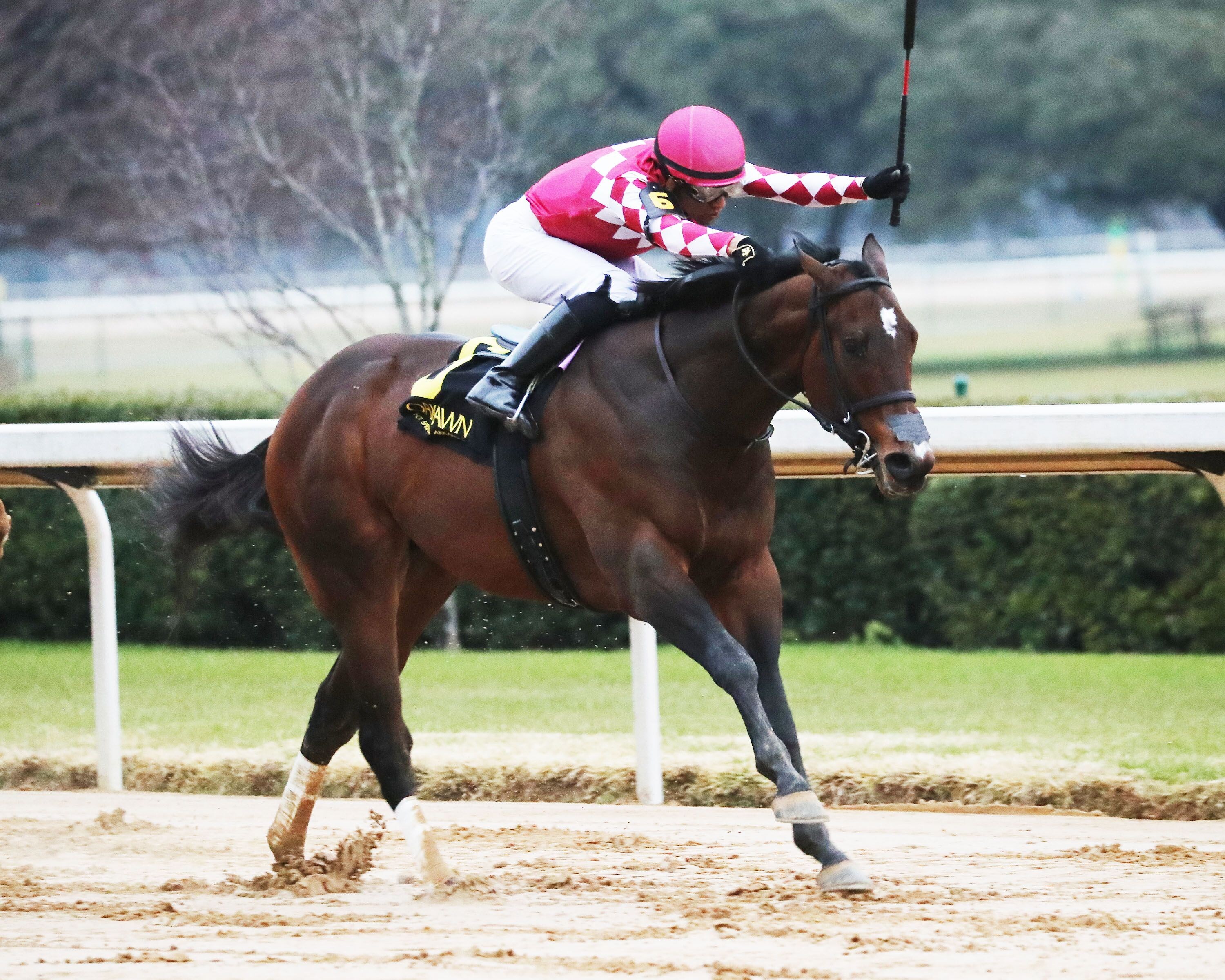 Brodeur wins at Oaklawn Park.