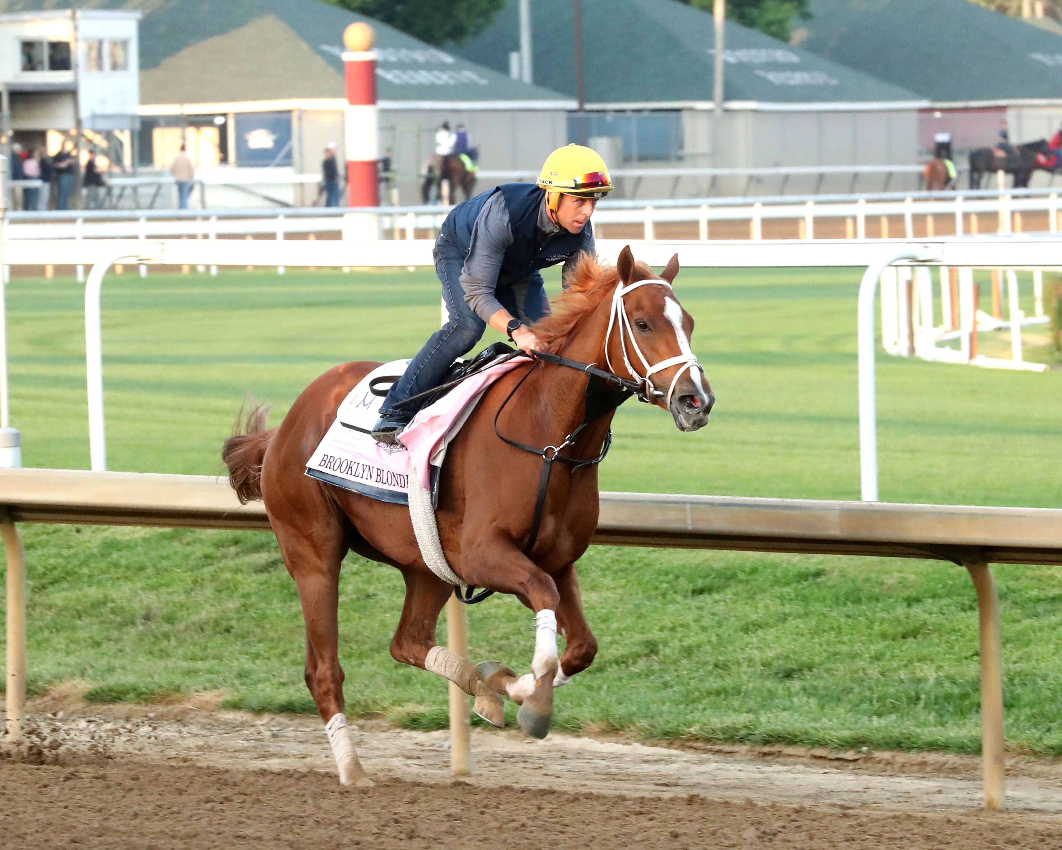 Brooklyn Blonde training at Churchill Downs
