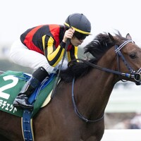 Brown Ratchet wins the Artemis at Tokyo