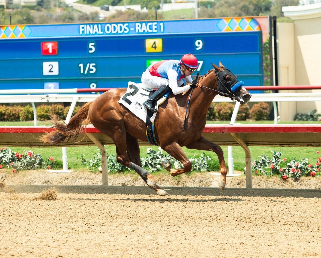 Buetane rolled on debut at Del Mar