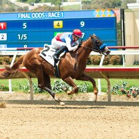 Buetane wins at Del Mar