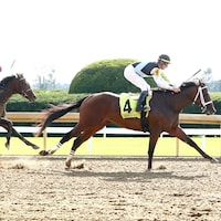 Built wins at Keeneland. (Photo by Coady Media)