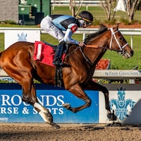 Built winning the Gun Runner S. at Fair Grounds (Photo by Hodges Photography/Lou Hodges Jr.)