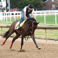 Burnham Square galloping at Churchill Downs