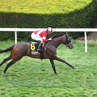Burnham Square demolished the Elkhorn (G2) at Keeneland
