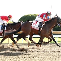 Burnham Square wins the Blue Grass.