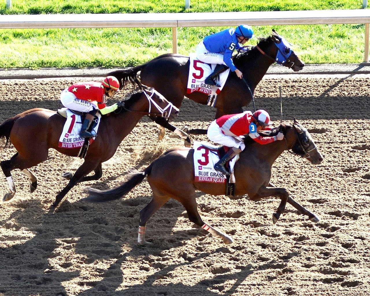 Burnham Square wins the Blue Grass.