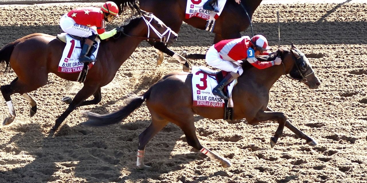 Burnham Square wins the Blue Grass. 