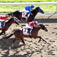Burnham Square wins the Blue Grass.