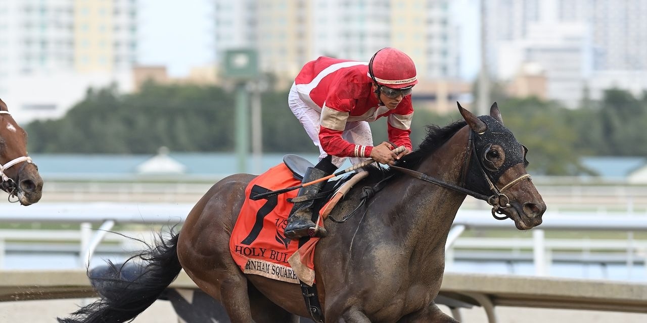 Burnham Square winning the Holy Bull (G3) at Gulfstream Park (Photo by Coglianese Photos/Lauren King)
