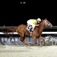Cadenza winning an allowance optional claimer at Turfway Park