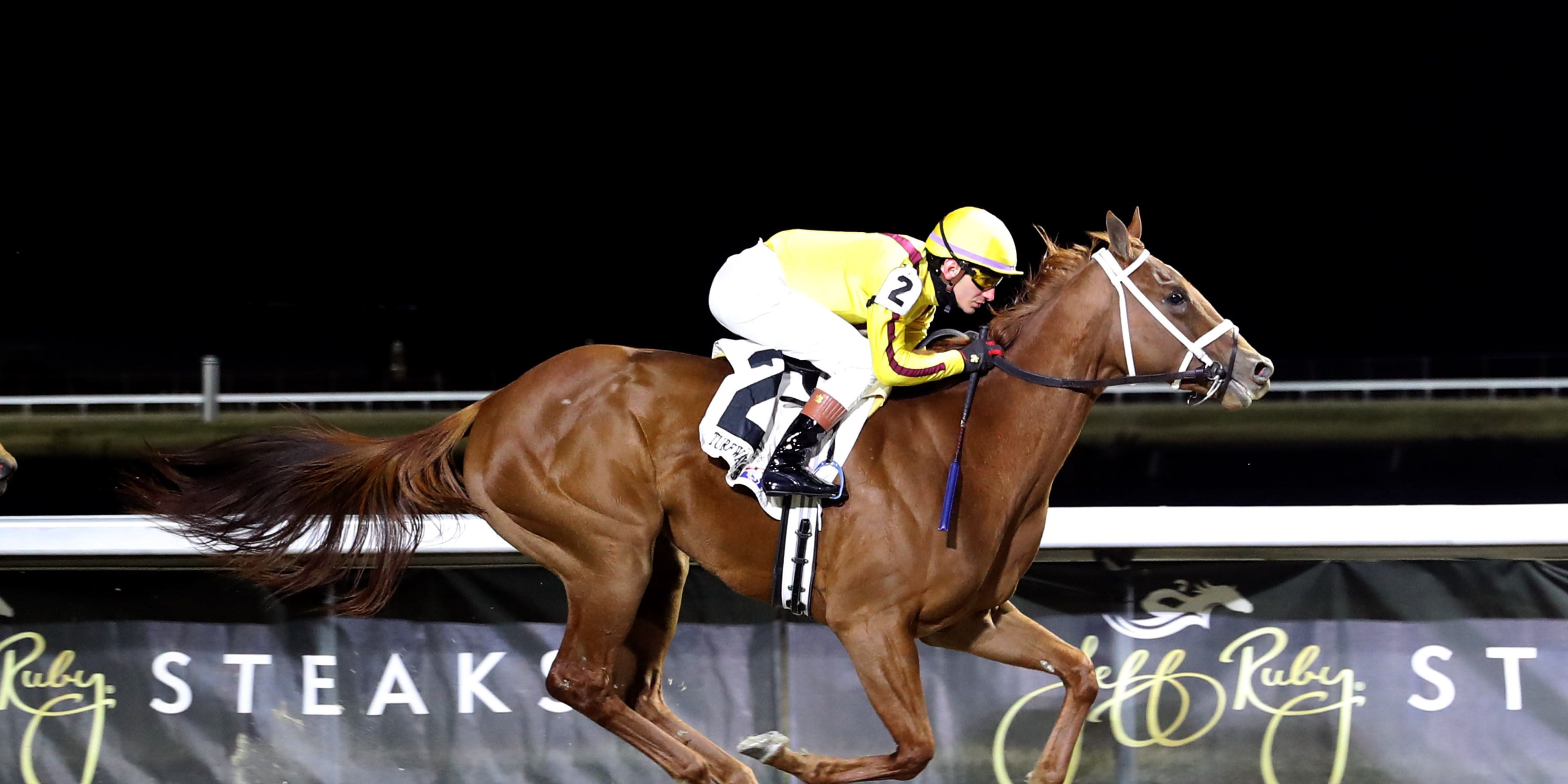Cadenza winning an allowance optional claimer at Turfway Park