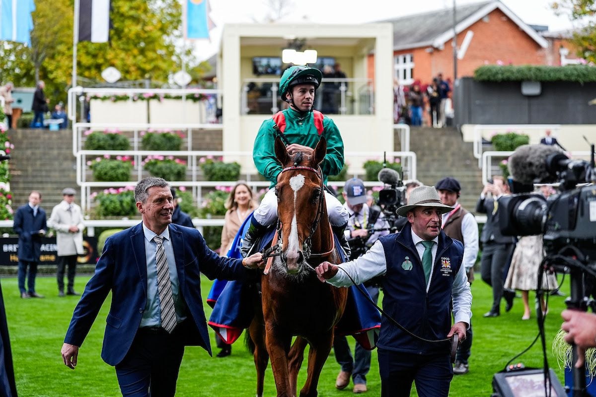 Calandagan after winning the Champion (G1) at Ascot