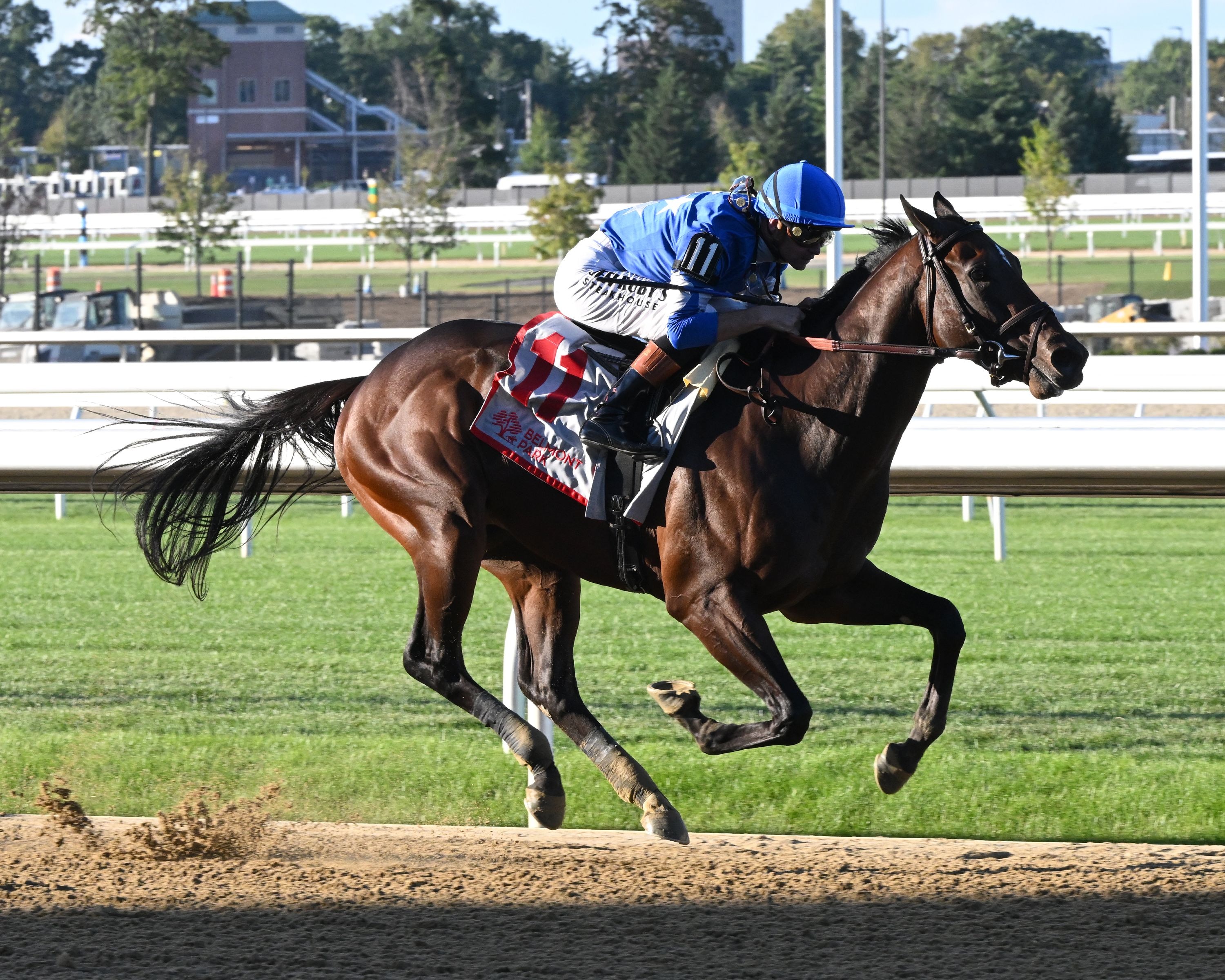 Card Man breaking his maiden at Belmont Park.