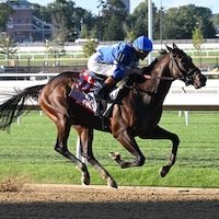 Card Man breaking his maiden at Belmont Park.