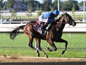 Card Man breaking his maiden at Belmont Park.