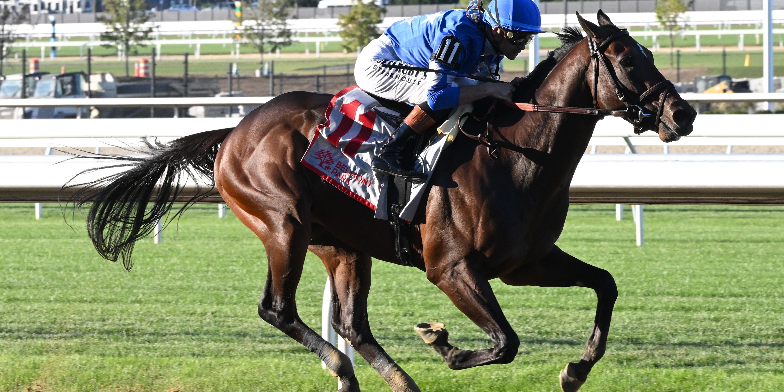 Card Man breaking his maiden at Belmont Park.