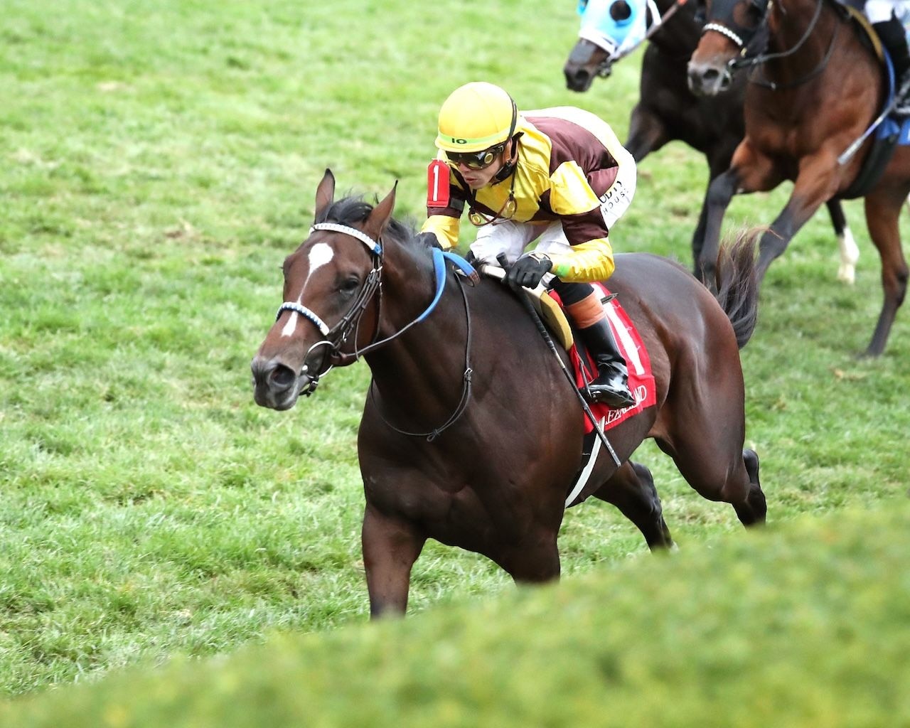 Chambersville wins at Keeneland.