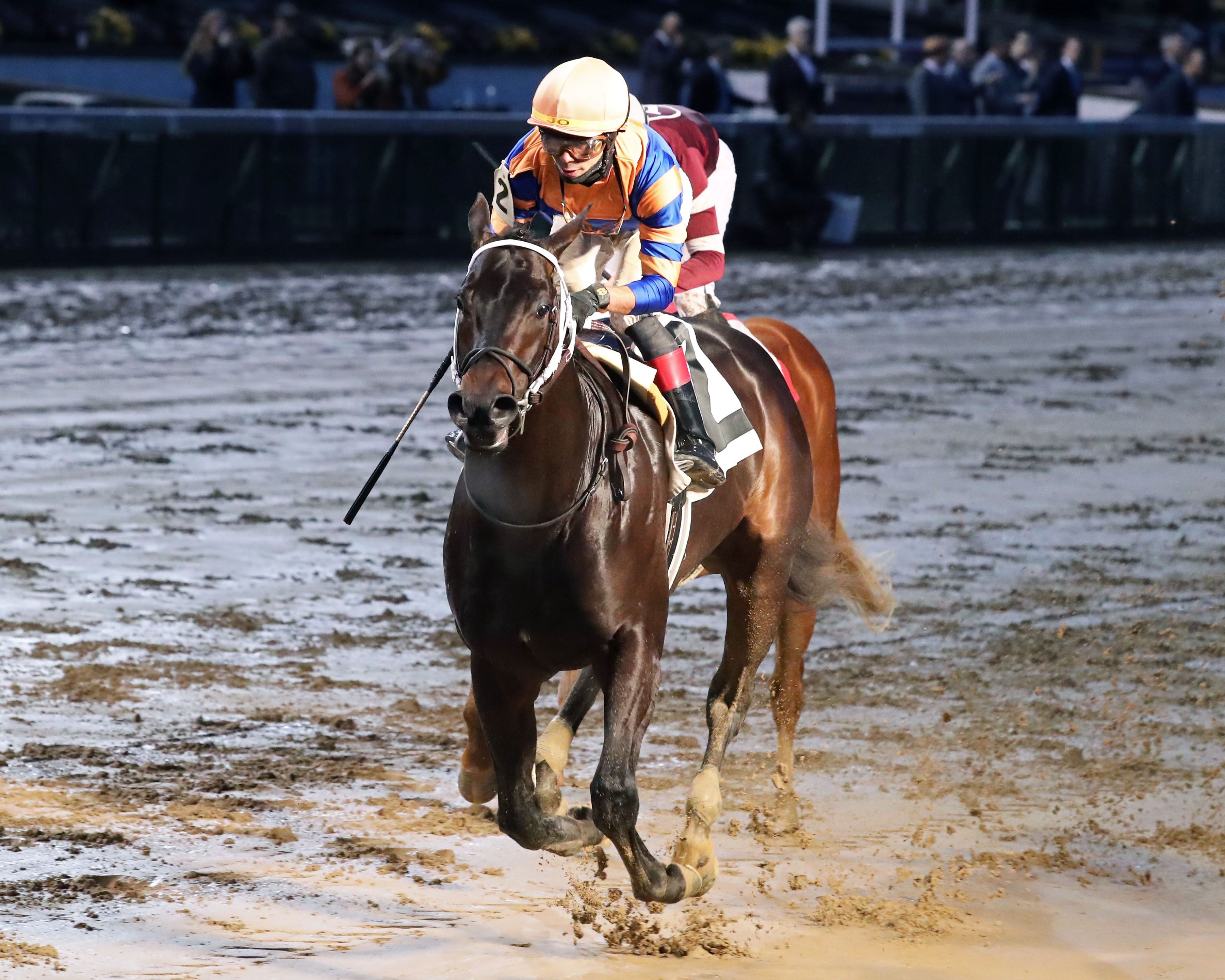 Chip Honcho wins at Churchill Downs.