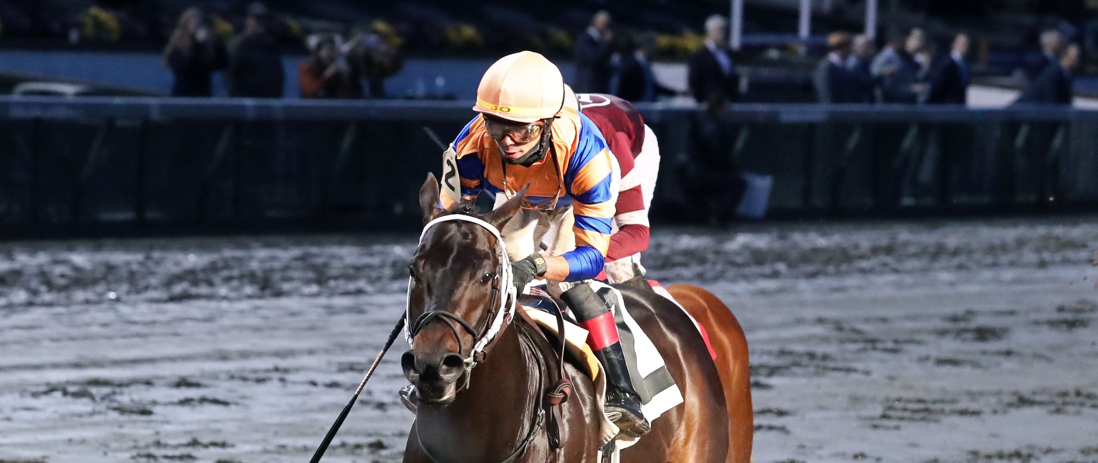 Chip Honcho wins at Churchill Downs.