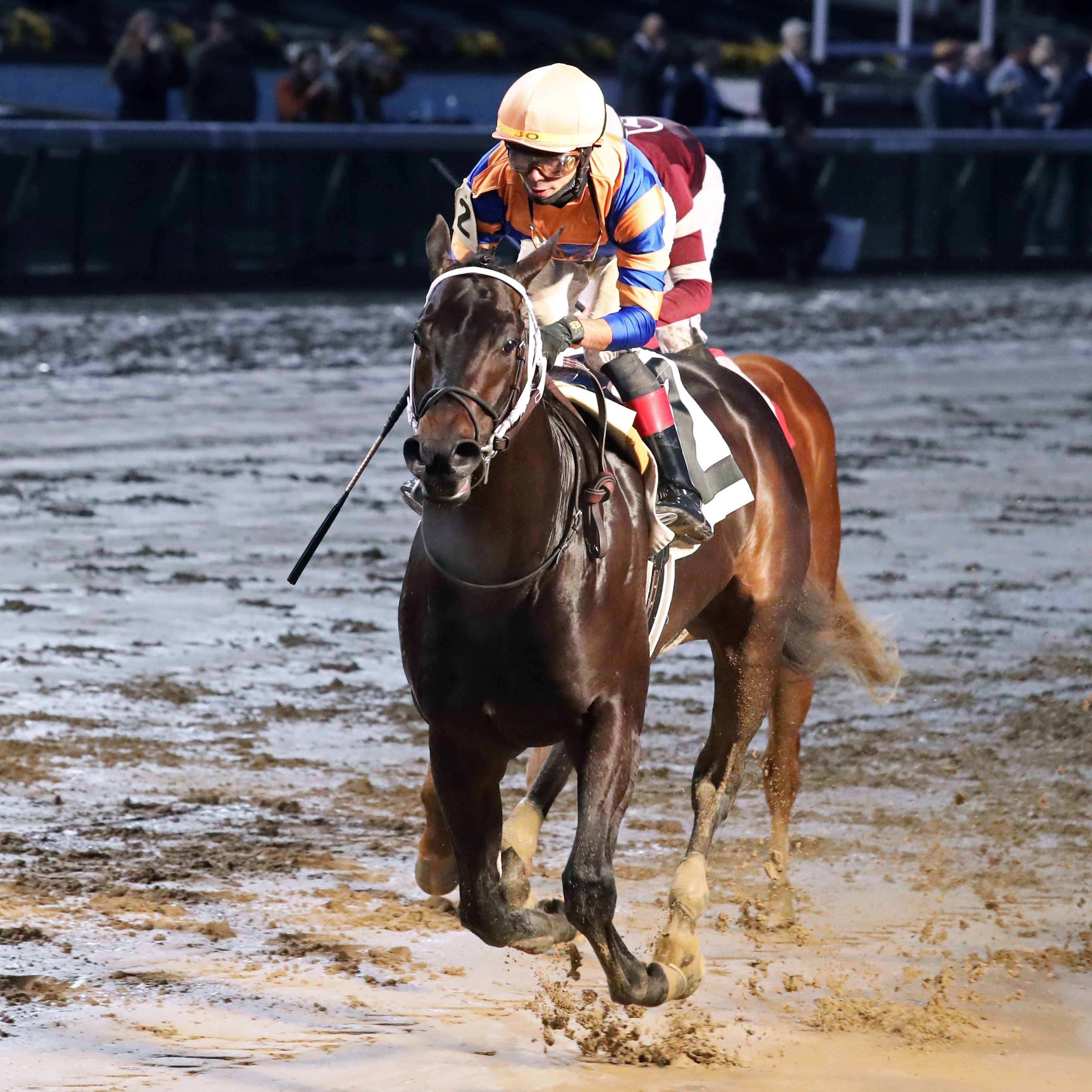Chip Honcho wins at Churchill Downs.