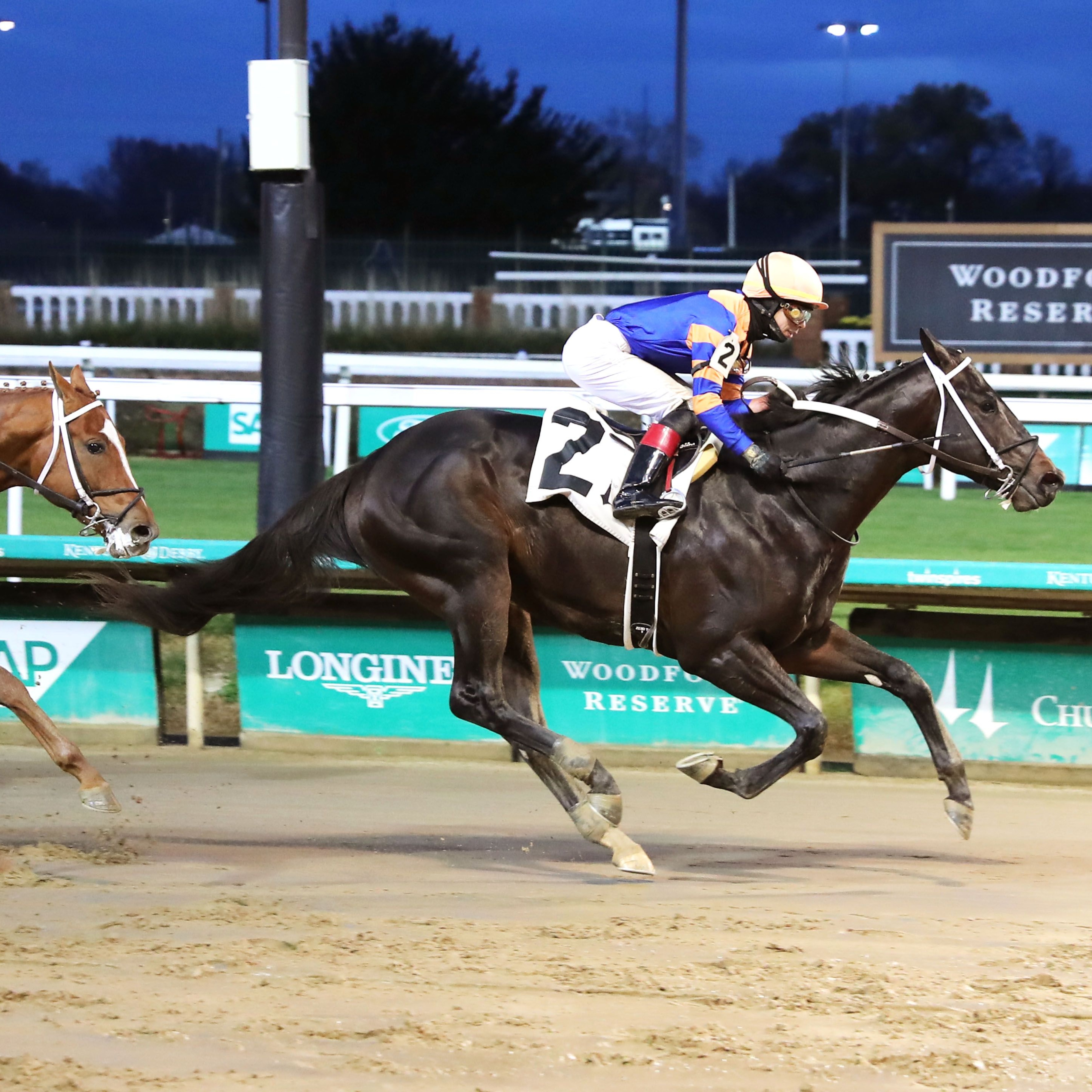 Chip Honcho wins at Churchill Downs.