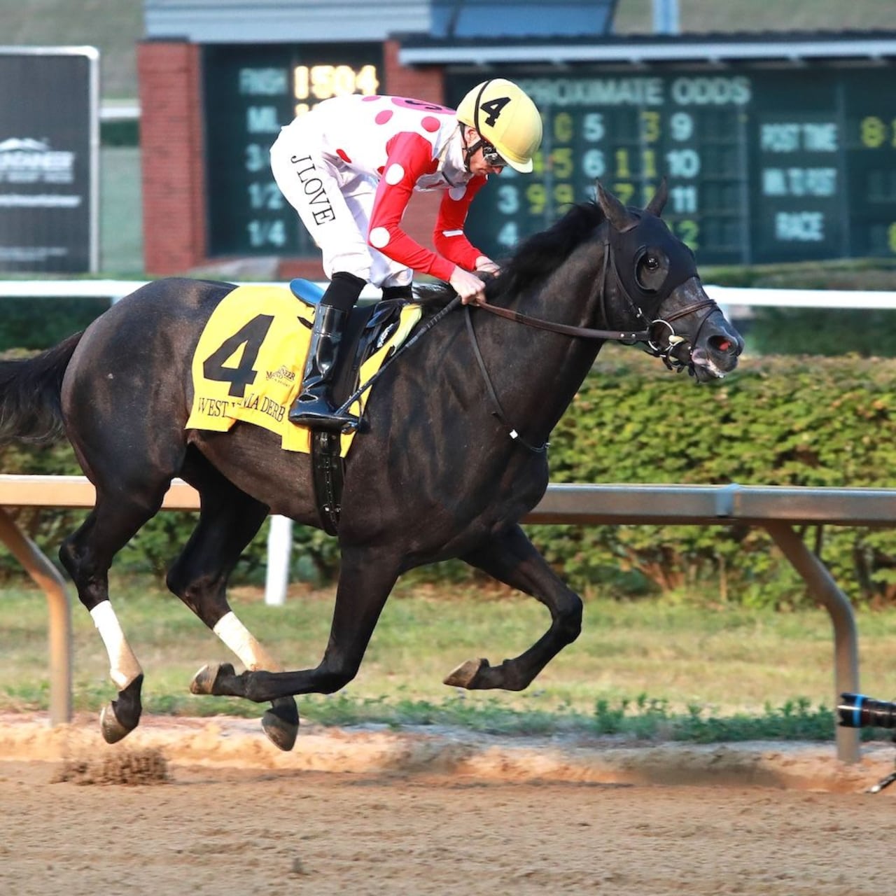 Chunk of Gold wins the West Virginia Derby at Moutaineer Park.