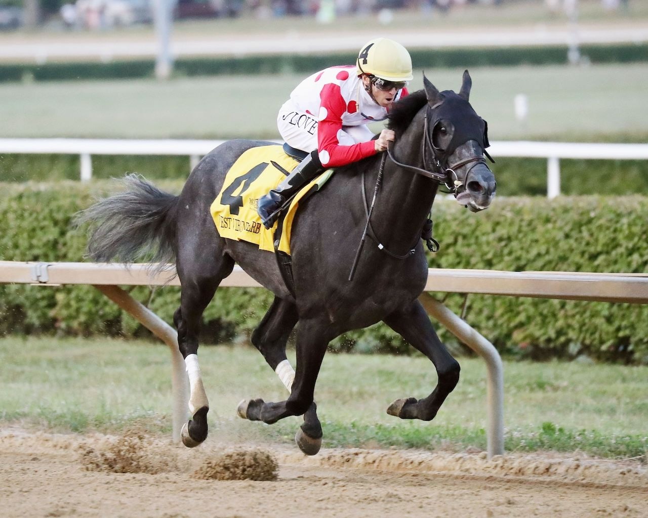 Chunk of Gold wins the West Virginia Derby at Moutaineer. 
