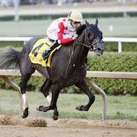 Chunk of Gold wins the West Virginia Derby at Moutaineer.
