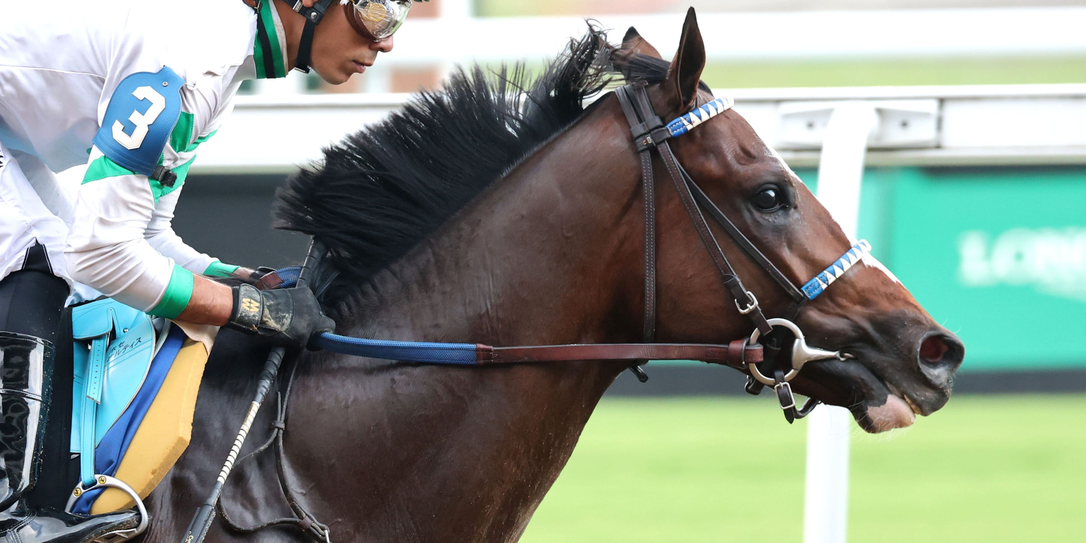 Coach Pope breaking his maiden at Churchill Downs.