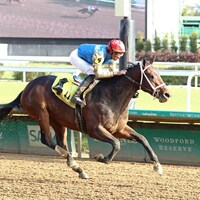 Commandment wins at Churchill Downs.