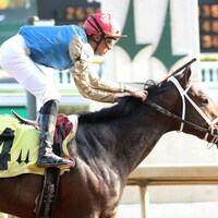 Commandment wins at Churchill Downs.