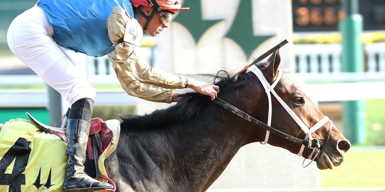 Commandment wins at Churchill Downs.